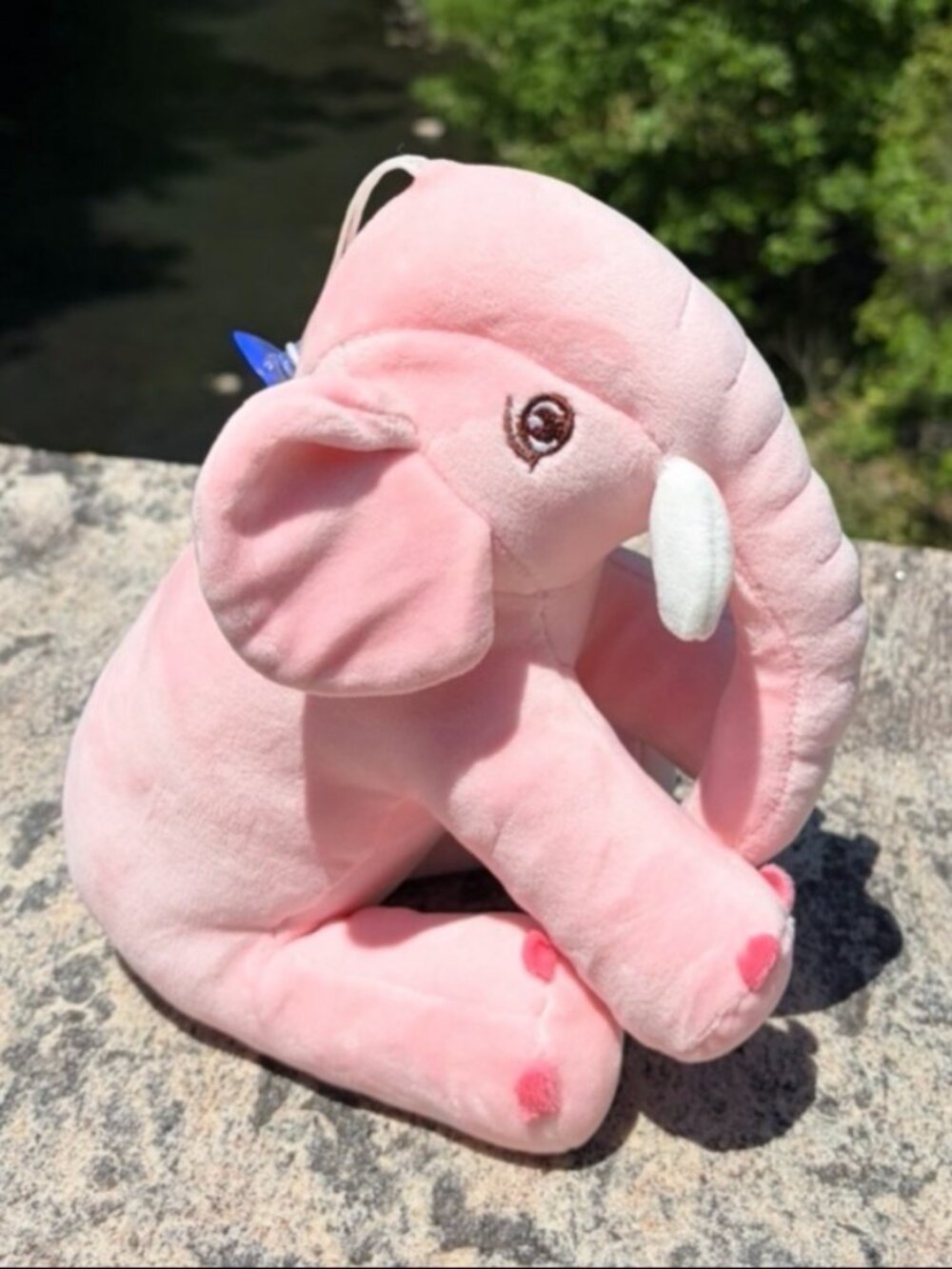 baby elephant